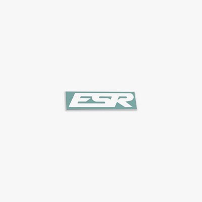 ESR Wheels SMALL DECALS SILVER 1 QTY = 2 PIECES 5.25'X1.5'